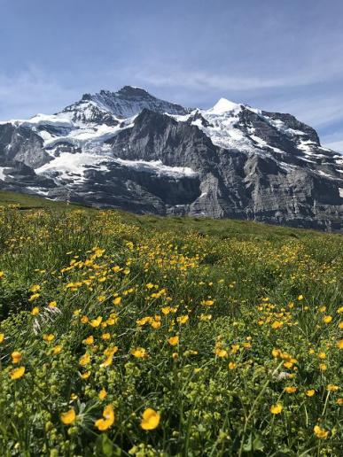 Jungfrau
