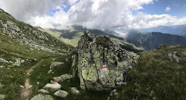 Nebelschwaden 