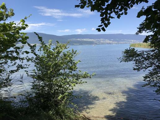 Lac de neuchâtel